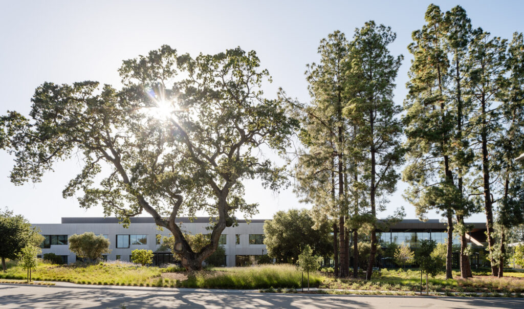 ARC-LowRes-©Mike Kelley-2
