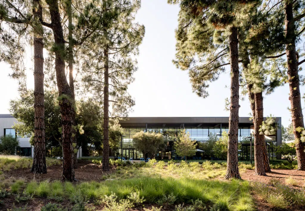 ARC-LowRes-©Mike Kelley-4