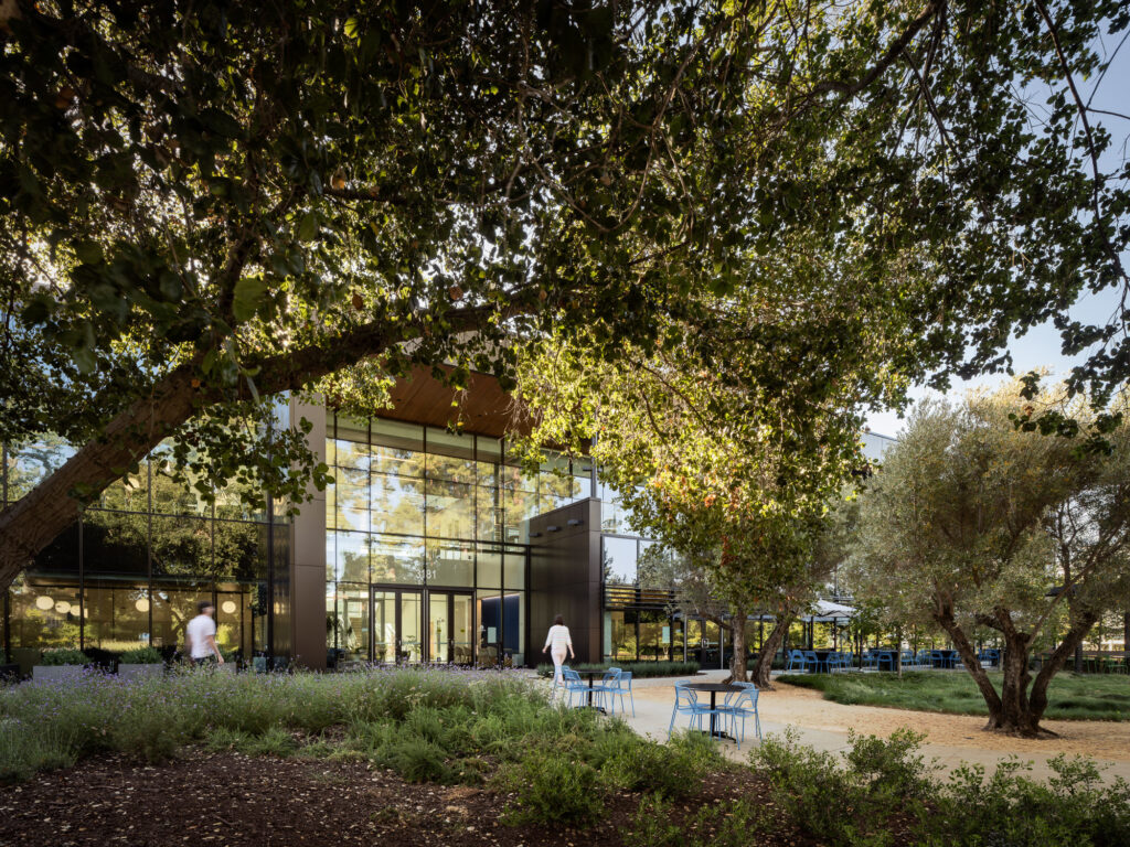 ARC-LowRes-©Mike Kelley-5